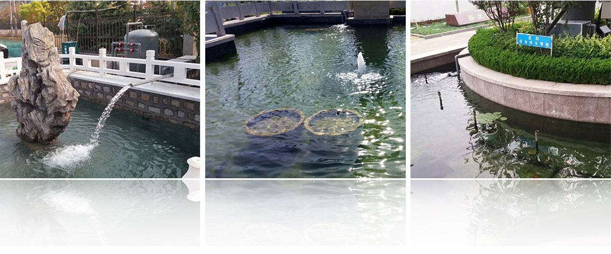 濟寧藝水芳源生態(tài)水族設備有限公司