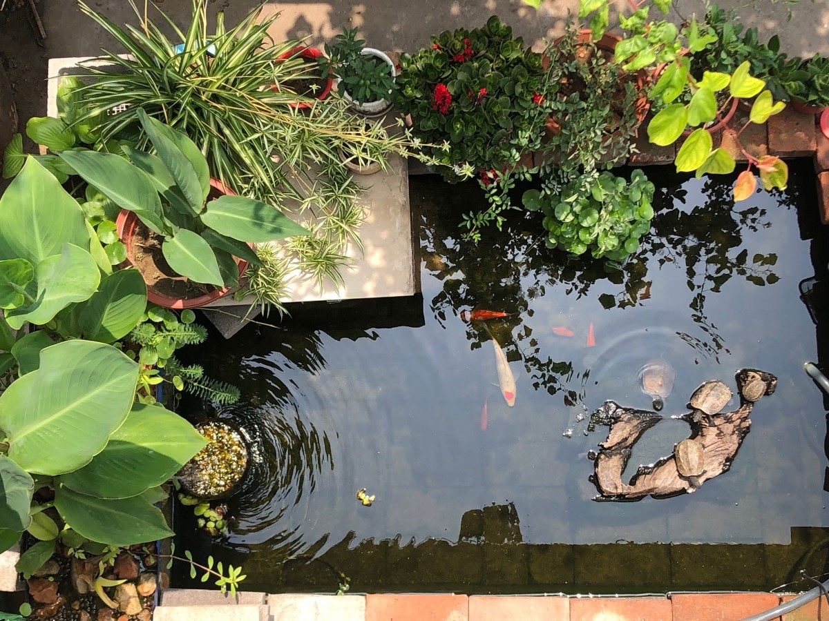 切身體會(huì)“魚池文化”，首先選購(gòu)一款上好的魚池過濾器