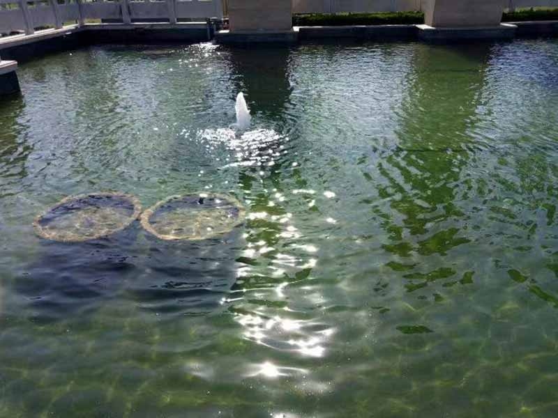 魚池過(guò)濾器客戶實(shí)地效果展示