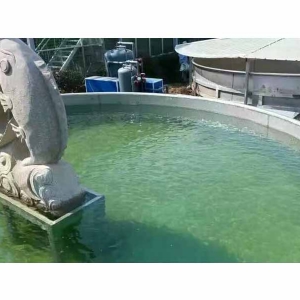 全自動(dòng)循環(huán)水設(shè)備